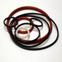 Sanitary O-Ring - DSO Fluid Handling - Acuity Process Solutions